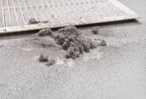 Best Ductwork Cleaning Services  in Mandeville, LA