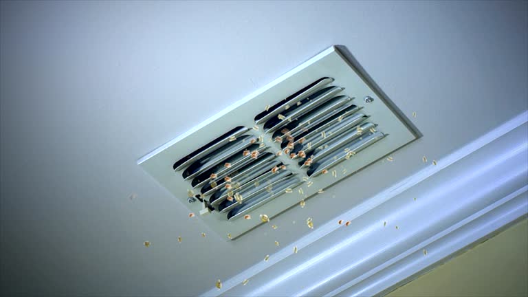 Best Air Duct Cleaning Near Me  in Mandeville, LA