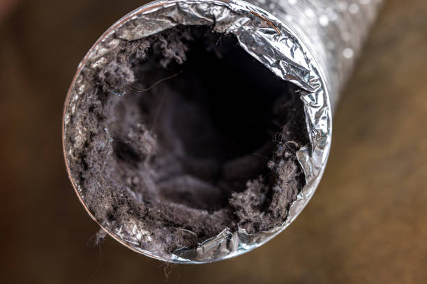 Affordable HVAC Duct Cleaning in Mandeville, LA